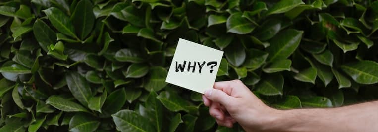 Jobwechsel begründen – 4 Strategien - Bild